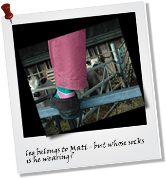 Billy Ruffian Shoes